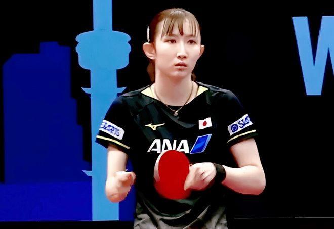 有图有真相 有图有真相